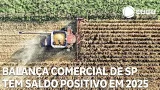 Balança comercial de SP tem saldo positivo em 2025