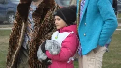 Nyulak vágtáztak a somogysárdi focipályán Nyulak vágtáztak a somogysárdi focipályán