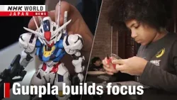 Building focus through anime model makingーNHK WORLD-JAPAN NEWS