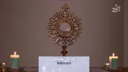 Tichá modlitba a písně | Adorace ŽIVĚ na @tv_noe Tichá modlitba a písně | Adorace ŽIVĚ na @tv_noe