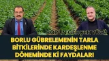 BORLU GÜBRELEMENİN TARLA BİTKİLERİNDE KARDEŞLENME DÖNEMİNDE Kİ FAYDALARI I BORUN GERÇEK YÜZÜ