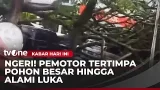 Pohon Besar Tumbang Timpa 3 Mobil dan Pemotor | Kabar Hari Ini Pohon Besar Tumbang Timpa 3 Mobil dan Pemotor | Kabar Hari Ini