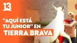 ¡Junior Playboy desatado! Sufre la mordida del burro y sus peores peleas en Tierra Brava