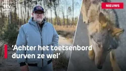 Johan filmde achtervolging door wolf en kreeg online veel kritiek & topdrukte voor ondernemers