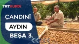 Çandinî - Beşa 3. (Aydın)