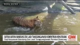 Satwa Bandung Zoo Jadi Tanggung Jawab Kementerian Kehutanan