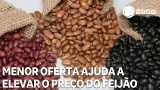 Menor oferta ajuda a elevar o preço do feijão Menor oferta ajuda a elevar o preço do feijão