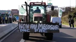 Решающие переговоры министров сельского хозяйства ЕС перед возможным подписанием сделки с МЕРКОСУР