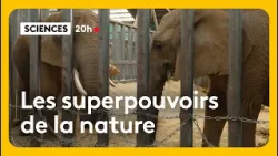 Les superpouvoirs de la nature