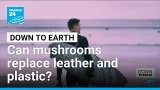 Can surfboards, handbags and coffins be made from mushrooms? • FRANCE 24 English Can surfboards, handbags and coffins be made from mushrooms? • FRANCE 24 English