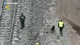 TREN ADAMUZ | Perros especializados ayudan a localizar posibles víctimas tras el accidente TREN ADAMUZ | Perros especializados ayudan a localizar posibles víctimas tras el accidente