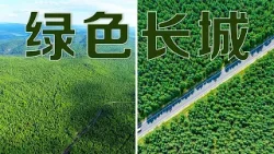 中国治沙人创造“生态奇迹”！从荒山沙海到绿水青山，三北防护林工程是怎样筑就“绿色长城”的？| LIVE NOW