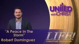 "A Peace In The Storm" - Robert Dominguez (united 2 6 26)