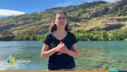 Nota Festival de Río Cochrane