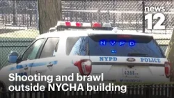 3 arrested after shooting, brawl outside NYCHA building in Brooklyn | News 12