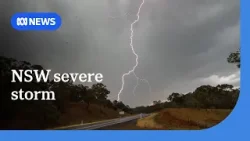NSW SES responds to more than 230 calls overnight after severe storms | ABC NEWS