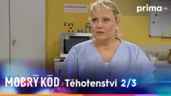 Modrý kód (18): Těhotenství – část 2/3