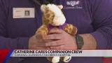 Stuffed animals gifted to patients at Cardinal Glennon Children's Hospital