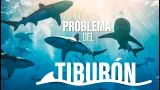 Calor, peces que huyen y tiburones que los siguen: cambio climático en los océanos - laSexta Clave