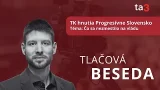 TK hnutia Progresívne Slovensko, Téma: Čo sa nezmestilo na vládu