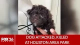 Small dog killed at Houston-area park