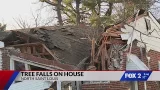 Tree falls onto St. Louis home after water main break, homeowner says
