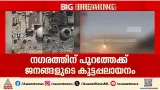 'ഇറാൻ അമേരിക്കൻ സൈനിക താവളങ്ങൾ ആക്രമിക്കുന്നതിലൂടെ ഗൾഫ് രാഷ്ട്രങ്ങളും യുദ്ധത്തിന്റെ ഭാഗമാകുന്നു' 'ഇറാൻ അമേരിക്കൻ സൈനിക താവളങ്ങൾ ആക്രമിക്കുന്നതിലൂടെ ഗൾഫ് രാഷ്ട്രങ്ങളും യുദ്ധത്തിന്റെ ഭാഗമാകുന്നു'