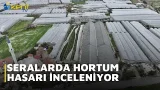SERALARDA HORTUM HASARI İNCELENİYOR