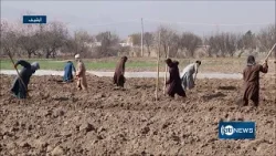 Over 72,000 acres of state land leased | بیش از ۷۲ هزار جریب زمین دولتی به تاجران کرایه داده شده است Over 72,000 acres of state land leased | بیش از ۷۲ هزار جریب زمین دولتی به تاجران کرایه داده شده است