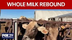 Whole milk sales climbing after years of decline