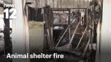 В результате пожара, уничтожившего приют для животных в Нью-Джерси, погибли 6 собак | News 12