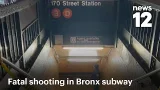 Смертельная стрельба на станции метро в Бронксе; подозреваемый на свободе | News 12