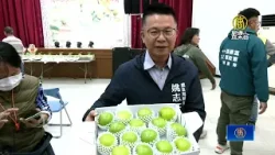 高雄大社蜜棗評鑑 9農友奪獎為上市暖身