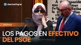 La expareja de Koldo reconoce al juez que el PSOE liquidaba gastos en efectivo