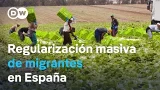 El gobierno español prevé que se beneficiarán más de 500.000 personas El gobierno español prevé que se beneficiarán más de 500.000 personas