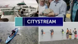 CityStream: The Puget Sound and our connections to the water