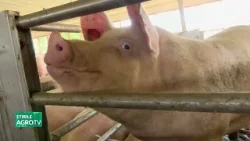 3 februarie, cererile de plată pentru Intervenția DR 06 14 01 2026