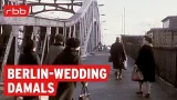 So sah Berlin früher aus: Wedding | 60er, 70er, 80er | Doku | Berlin erleben So sah Berlin früher aus: Wedding | 60er, 70er, 80er | Doku | Berlin erleben