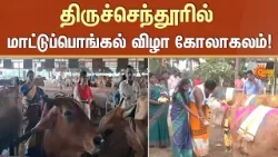 Mattu Pongal - 2026 | Salem | Farmers Celebration | Family | Additional Details