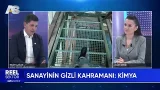 REEL SEKTÖR / RASİM ÇAĞAN / AS TV