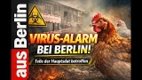 Virus Alarm bei Berlin - AusBerlin