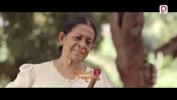 එහෙම ගෑනියෙක් නිසා ගෑනු කී දෙනෙක් විදවනවද නේද?| දොරකඩ දෙවොල - සති අග රාත්‍රී 8.30