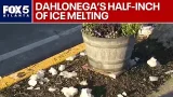 Dahlonega recovery: Half-inch of ice slow to clear up | FOX 5 News Dahlonega recovery: Half-inch of ice slow to clear up | FOX 5 News