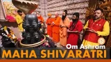 Happy Maha Shivaratri I Om Ashram I #omashram #shivatemple #dwadashjyotirling