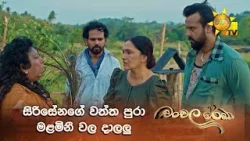 සිරිසේනගේ වත්ත පුරා මළමිනී වල දාලලු