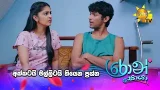 අක්කටයි මල්ලිටයි තියෙන ප්‍රශ්න