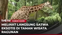 Kebun Binatang Ragunan Masih jadi Primadona untuk Mengisi Waktu Liburan | Kabar Siang