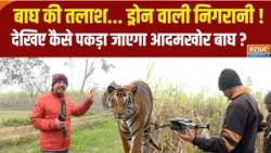 Bahraich Tiger Terror: हाथी पर शार्प शूटर और ड्रोन से स्कैनिंग...बहराइच में वन विभाग का मेगा ऑपरेशन
