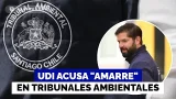 Acusan "amarre" de última hora: Las nominaciones del Gobierno en 2 tribunales ambientales