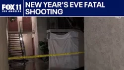 Man killed after firing rifle from Northridge apartment on NYE